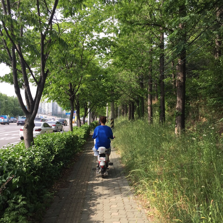 아꼬떼 이미지