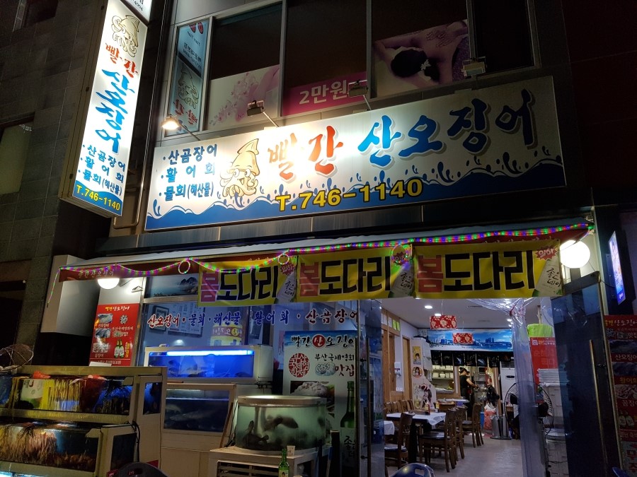 빨간산오징어 이미지