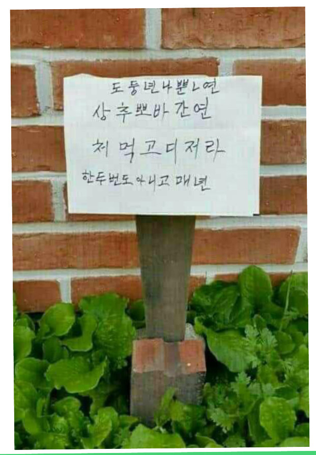 뽀바뽀바 이미지
