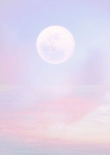 홍대인테리어 이미지