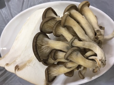 지리산한우마을 이미지
