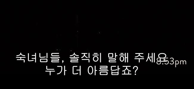 팀메리 이미지