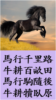 마행 이미지