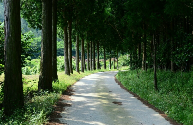백제약품(주) 이미지