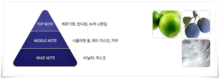 인투더블루 이미지