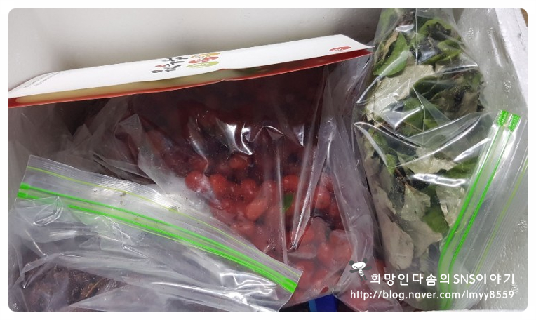 공룡나라 친환경 보리수농장 이미지