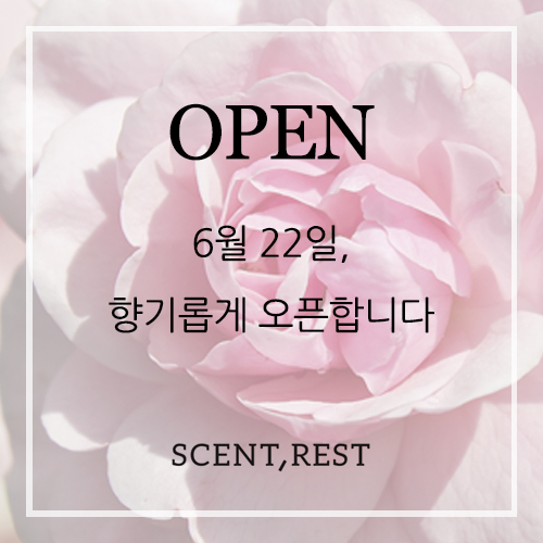 센트레스트 이미지