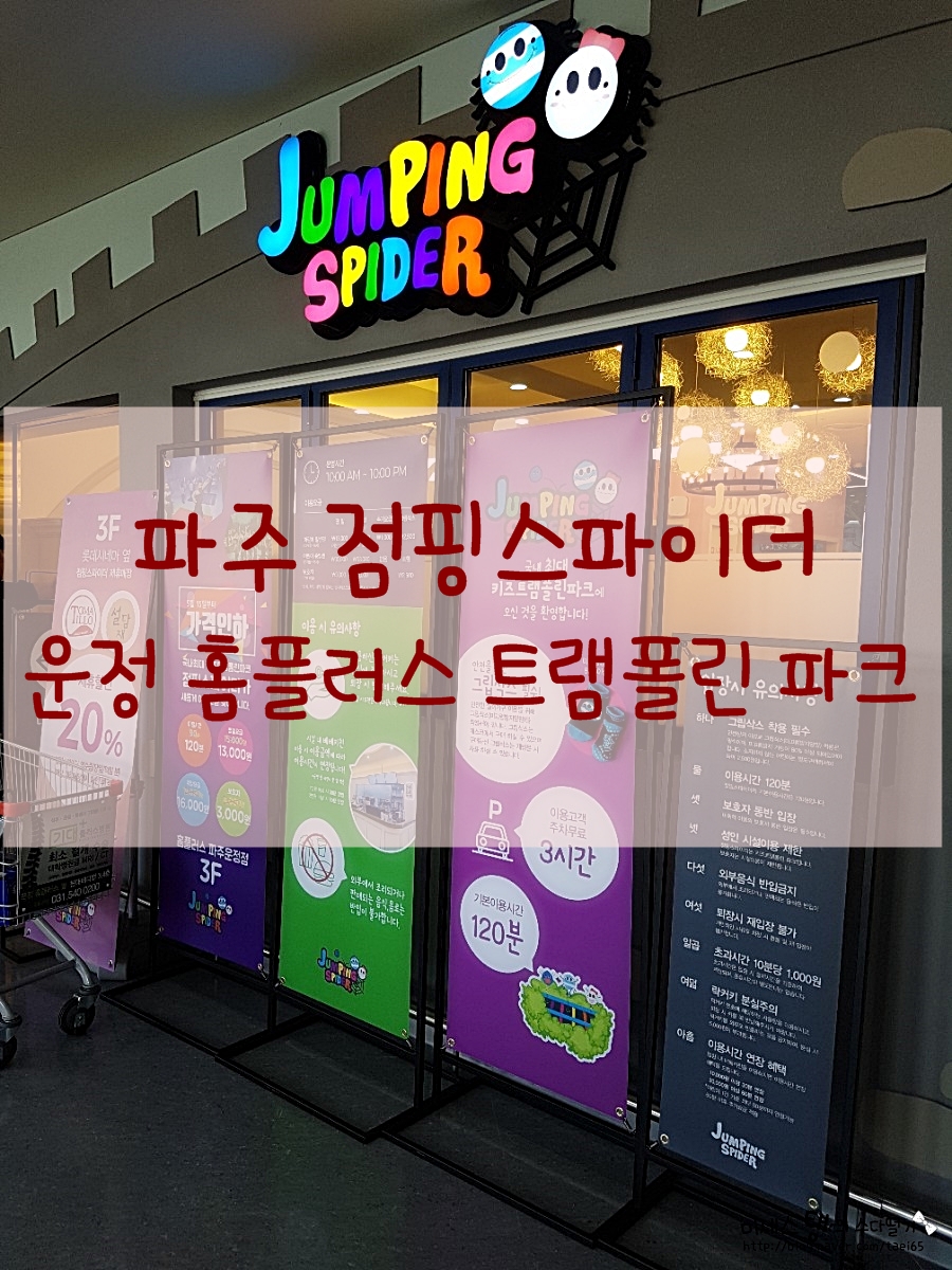 점핑스파이더 운정 이미지
