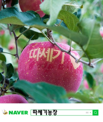 (주)더 늘봄 이미지