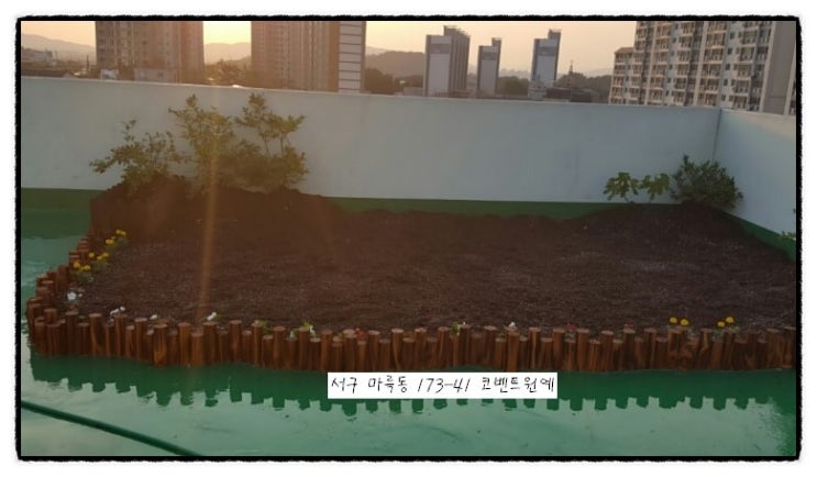 텃밭상무 이미지