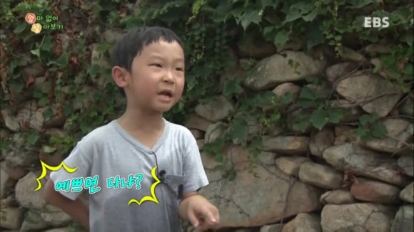 칡냉면땡기는날 이미지