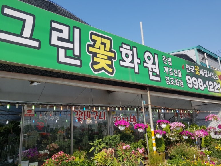 그린꽃화원 이미지