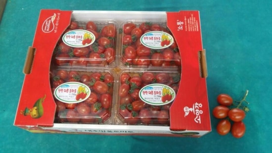 봄빛꿈을그리다 이미지