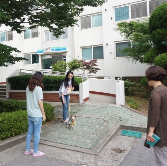 해피독반려견방문교육 이미지