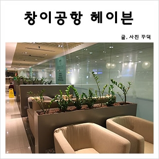 더 헤이븐(The Haven) 이미지