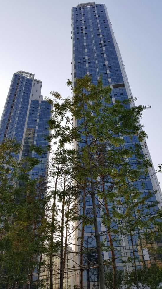 국가대표정육식당 이미지