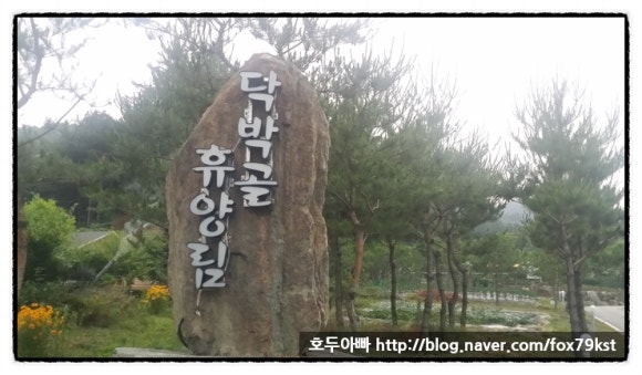 닥박골 휴양림 이미지