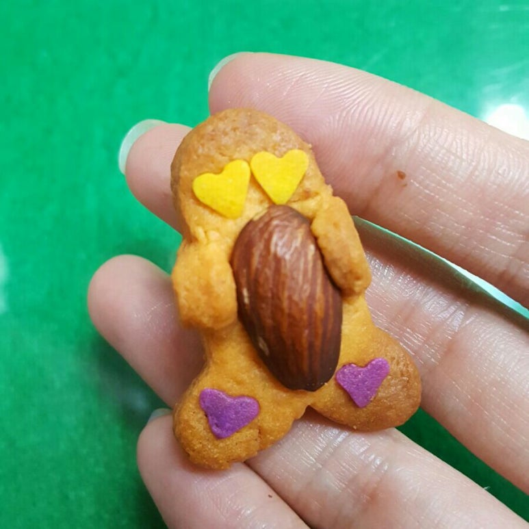 한국종이접기협회강남지회 이미지