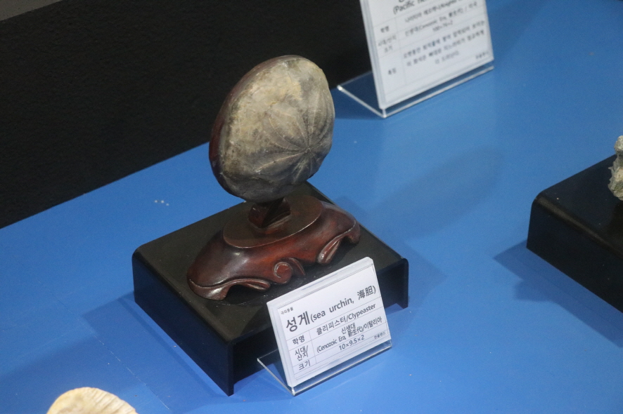 한울 사진 8