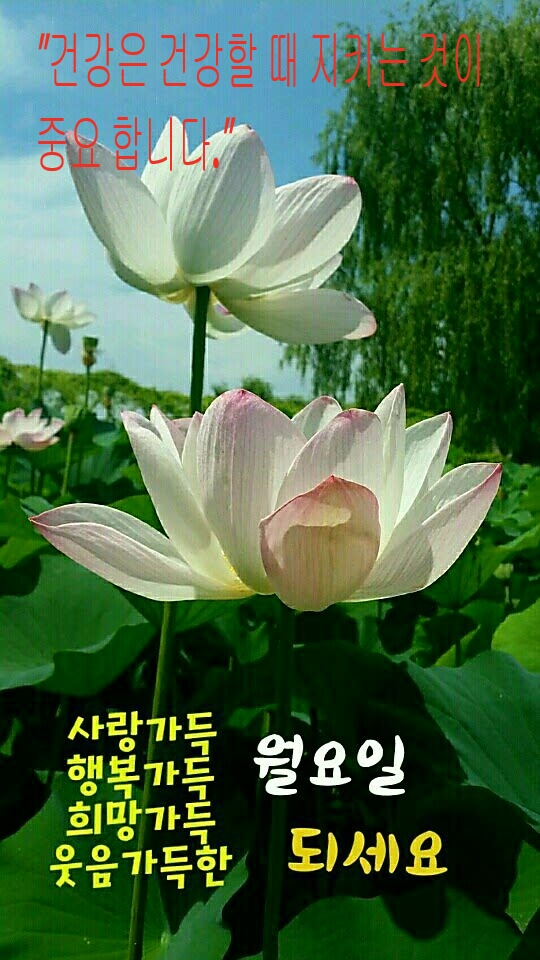 자연건강원 이미지