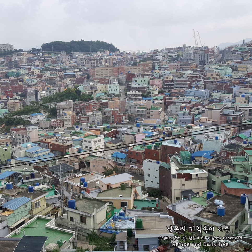 남일문화 이미지