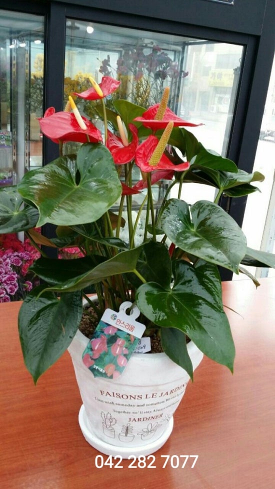 가람꽃집 이미지