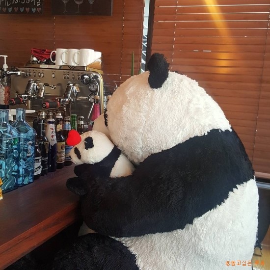 민트판다 이미지