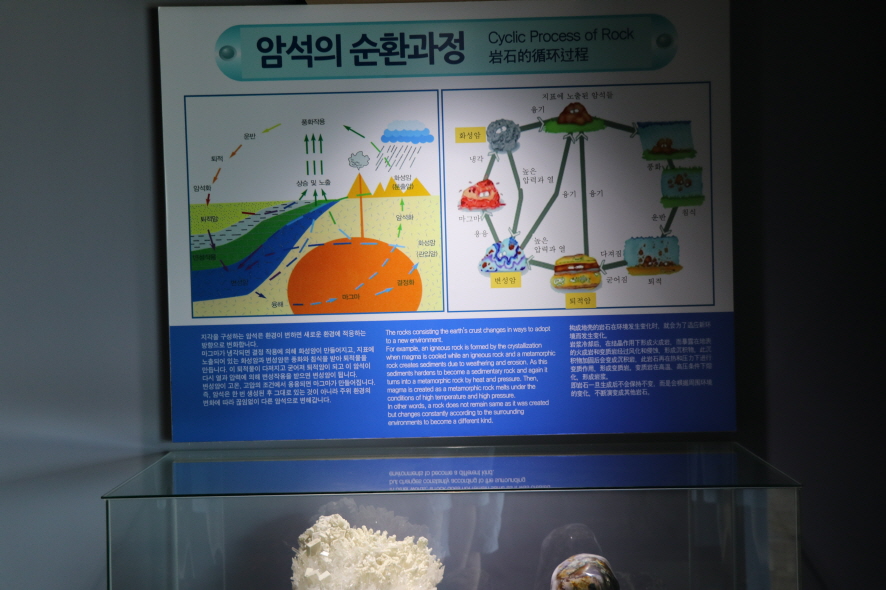 제주화석박물관 이미지