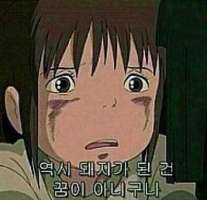 설빙대구수목원점 이미지