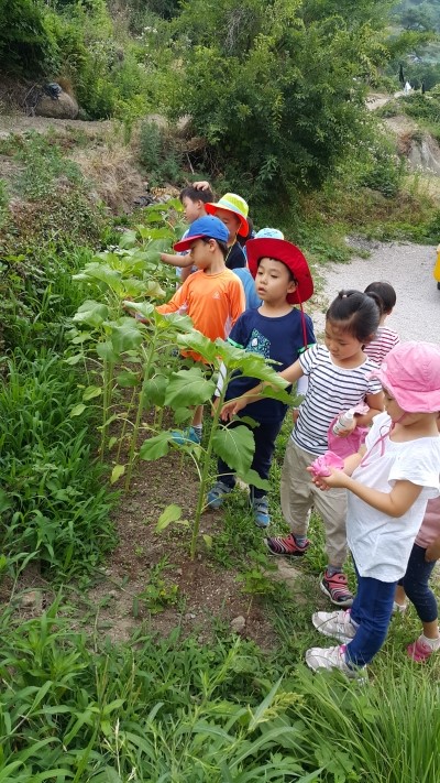 꽃마리어린이집 이미지