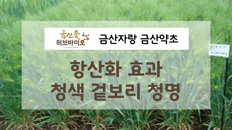 청명개발 이미지