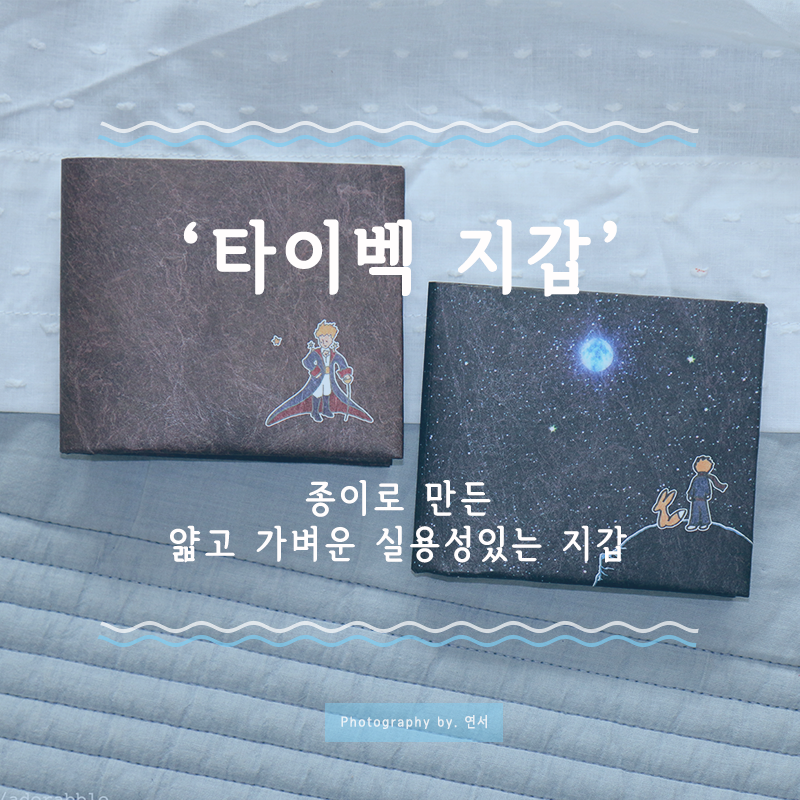 에코씨엔티 이미지
