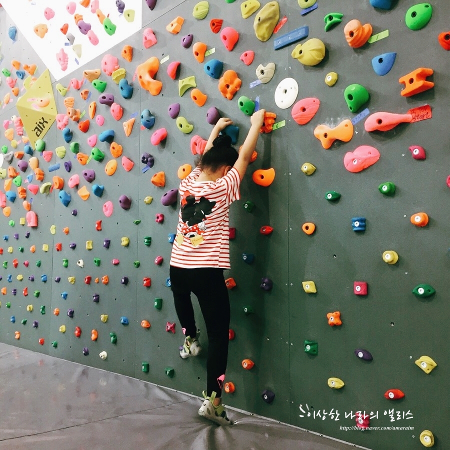 다이노클라이밍 이미지