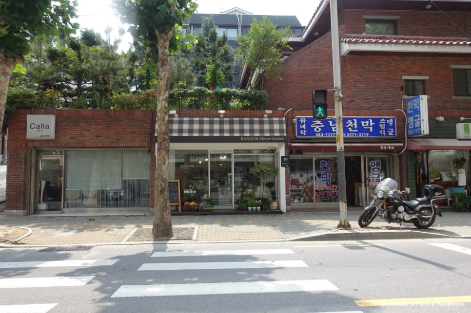 바시움플라워 이미지