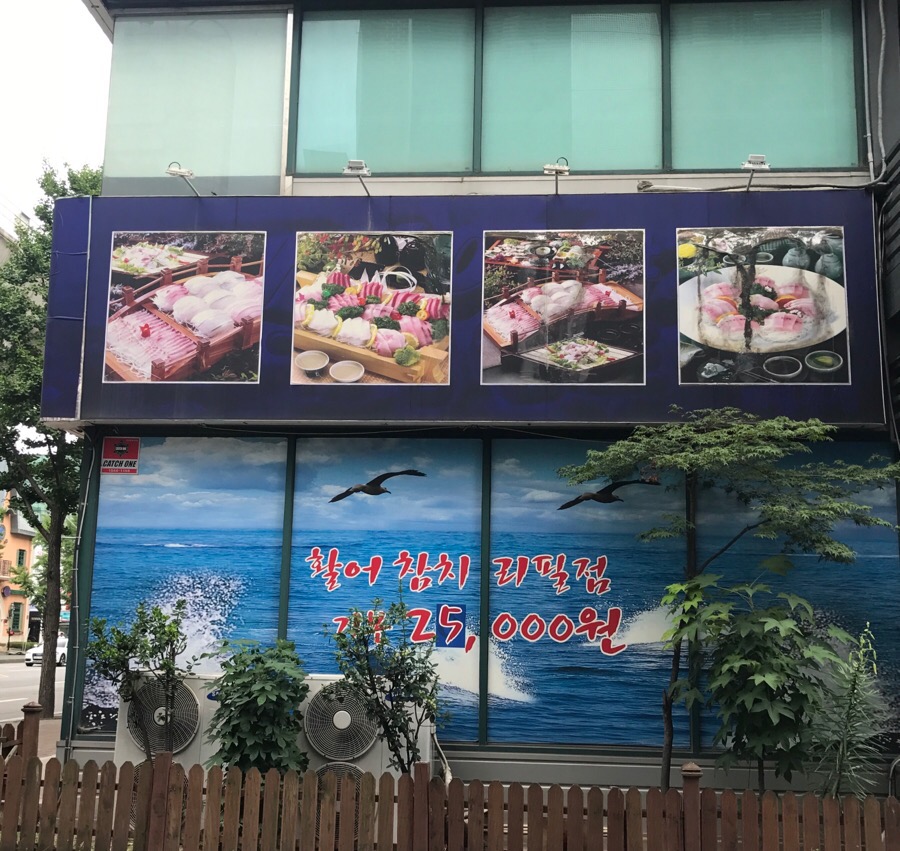 아사까 이미지
