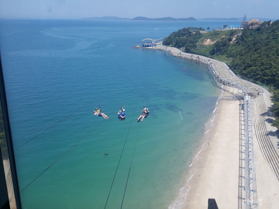 대천해수욕장 스카이바이크 이미지