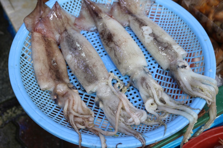 고현수산 이미지