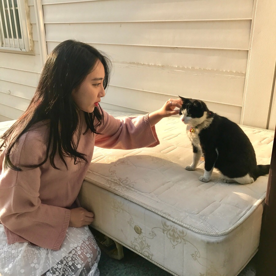 해피독반려견방문교육 이미지