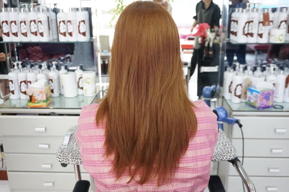 전국머리자랑 이미지