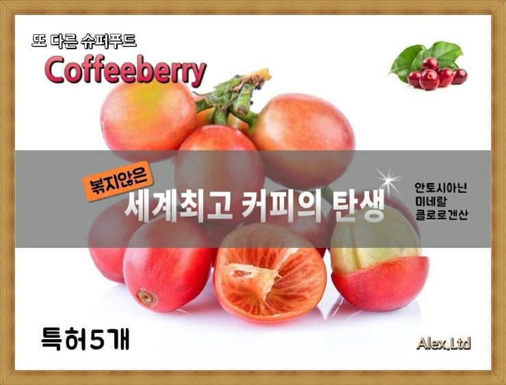 커피베리 이미지