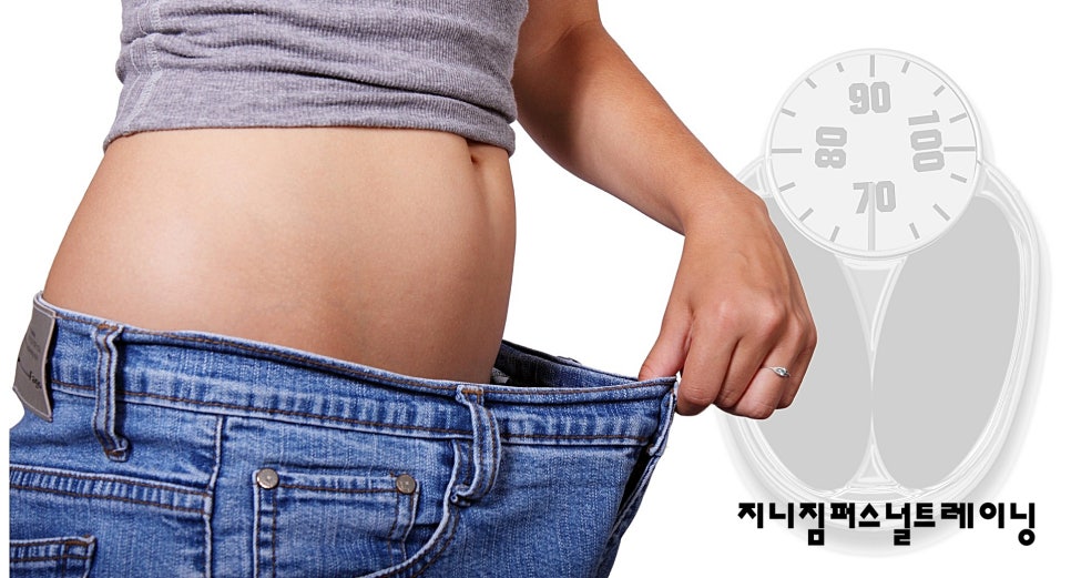 퍼스널트레이닝지니 이미지