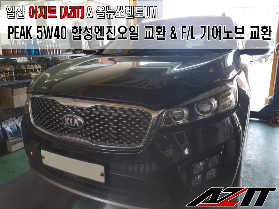 뉴아지트 이미지