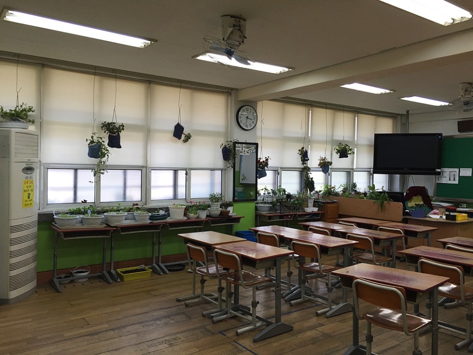 서울양동초등학교 이미지