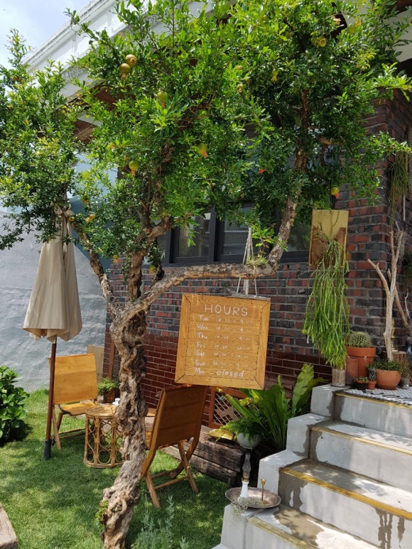 펄디스트릭(Pearl DISTRICT) 이미지