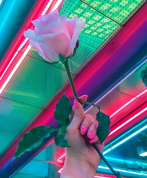 꼬리별 이미지