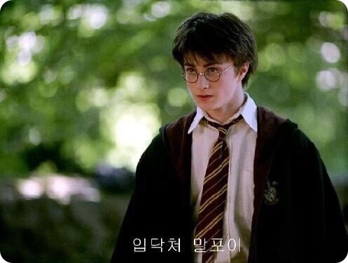 금성칡냉면 이미지