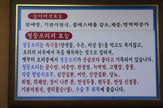 능이야오리야 이미지