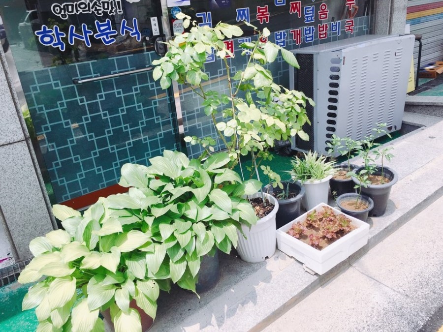 학사김밥 이미지
