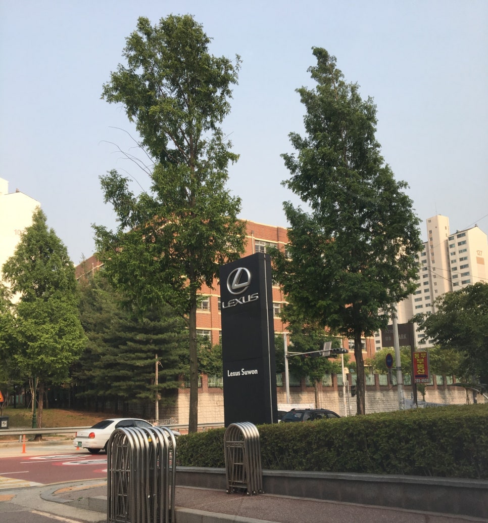 센트럴모터스 이미지