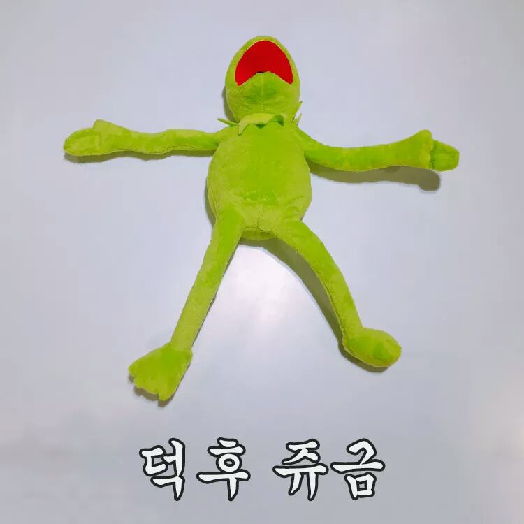 히바나 이미지
